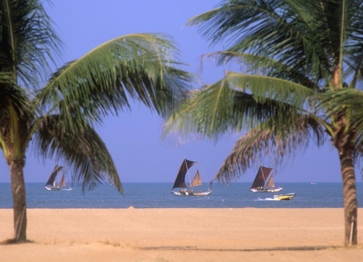Olanro Hotel Negombo Exterior photo